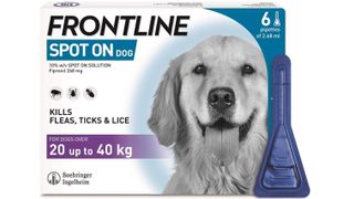 Frontline spot on, one of the best flea medication for dogs