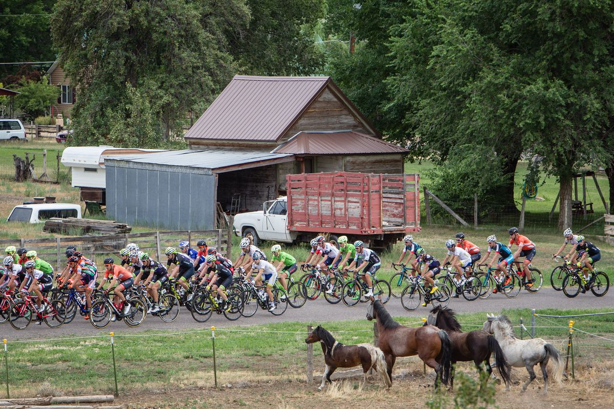 Horses line up for todays start in Escalante