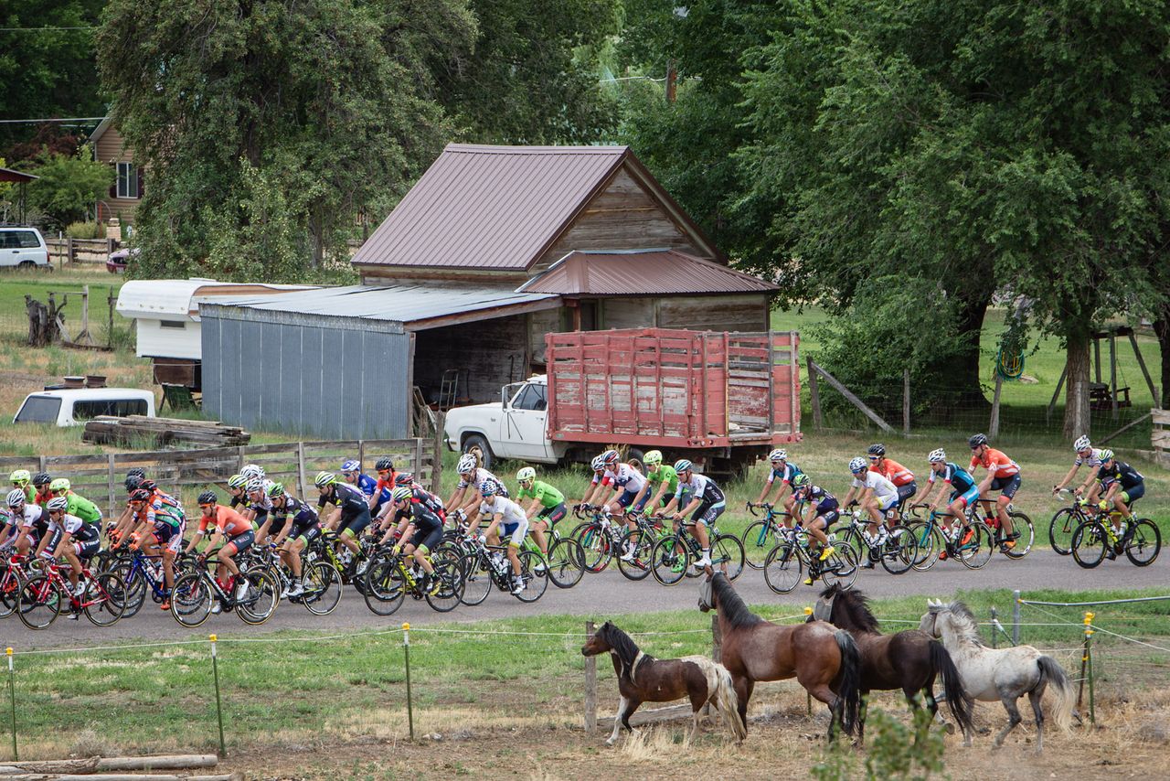 Horses line up for todays start in Escalante