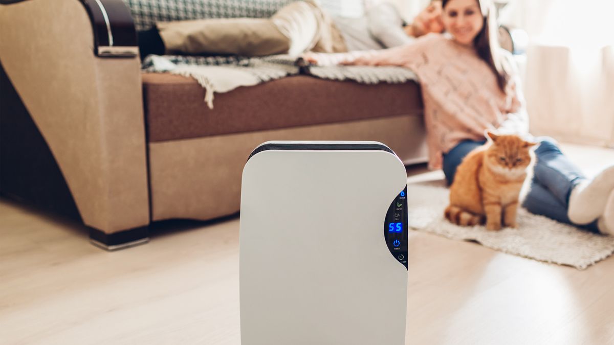 woman sitting in her home with a dehumidifier