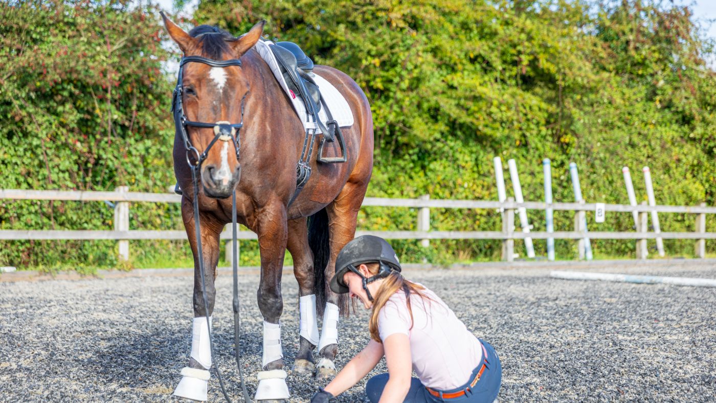 A rider on the ground having fallen from a horse
