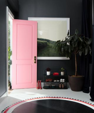 entryway with dark black-blue walls, pink front door