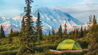 Camping in Denali National Park, Alaska
