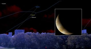 july 2020 starry night Venus at Greatest Illuminated Extent