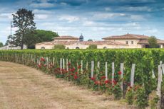 Chateau Petrus, Pomerol, Bordeaux