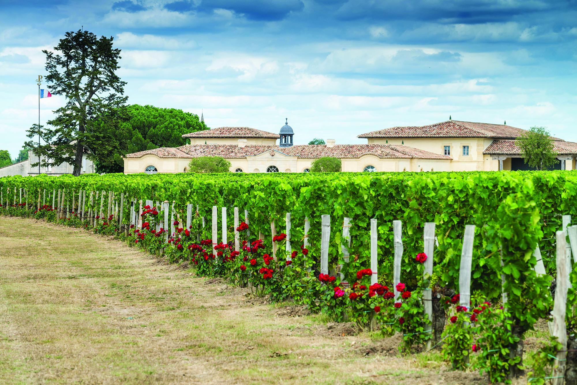 Chateau Petrus, Pomerol, Bordeaux
