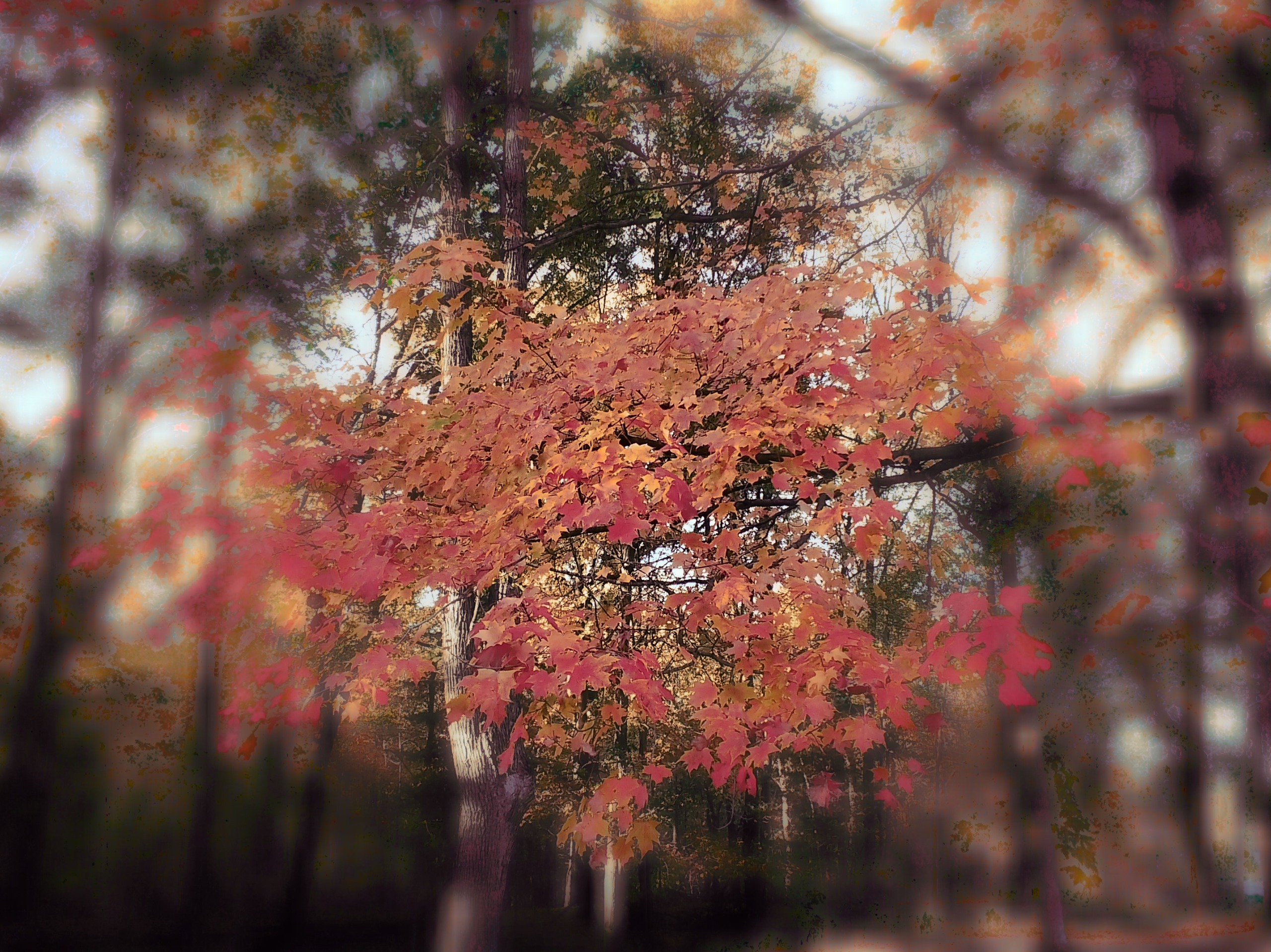 A sample image taken with the Instax Mini Evo 2