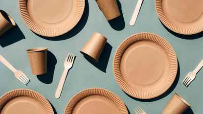 Disposable Utensils, Cups and Plates