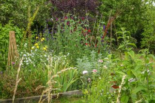 cottage garden vegetable patch with flowers