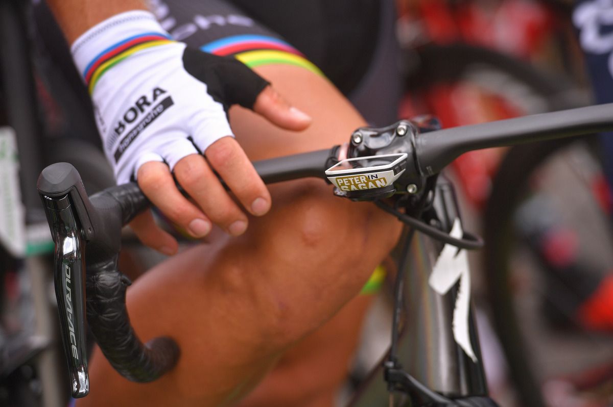 A custom Peter Sagan sticker