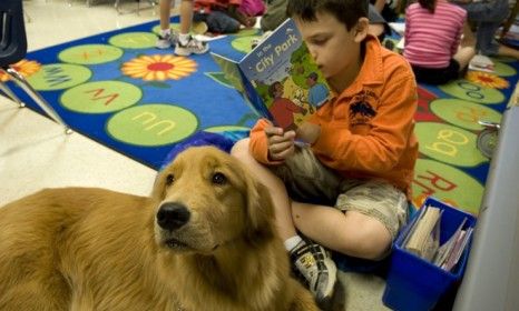 Dogs have helped out in the classroom before with reading programs (shown) and stress relief; now canines are being recruited to help teach compassion and ease bullying.