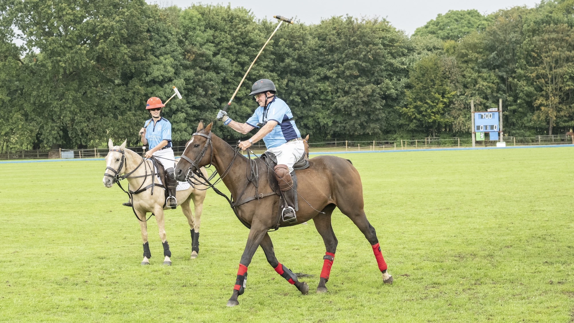 John Nash playing polo on a bay pony