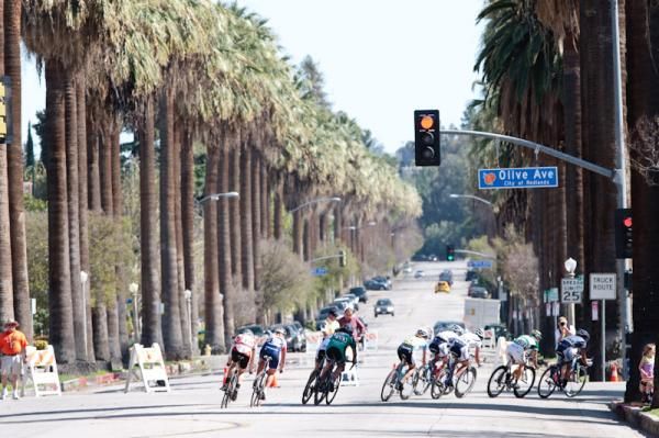 The break turns off the palm lined course.