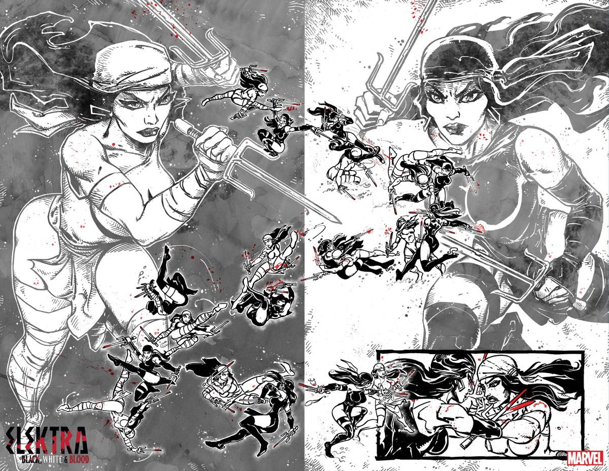 Elektra: Black, White &amp; Blood #4