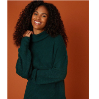 Chunky roll neck jumper, $14.92 (£12) | Dorothy Perkins