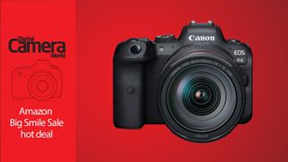 Canon EOS R6 single lens kit Big Smile Sale hot deal on a red background