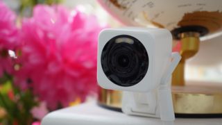 Wyze Cam v4 attached to gold globe near pink flowers