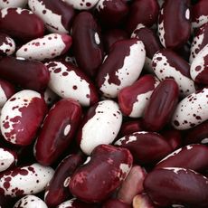 a variety of red and white colored beans 