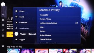 The Samsung Tizen OS (2024) full Settings menu with the 