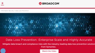 Website screenshot from Broadcom (November 2024)