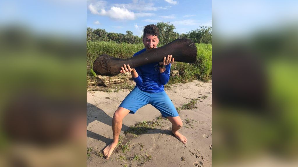 Divers discover massive thigh bone from Ice Age mammoth in Florida river