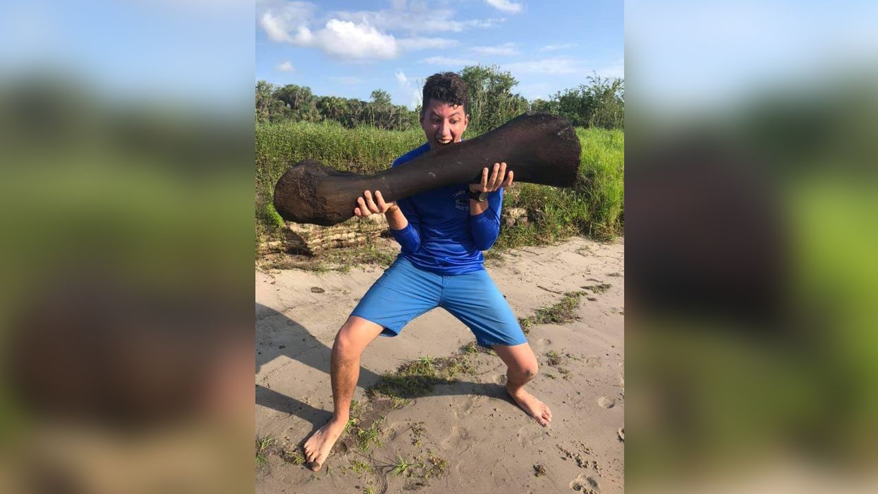 Derek Demeter and Henry Sadler discovered the enormous bone from an Ice Age mammoth while diving in Peace River in Florida.