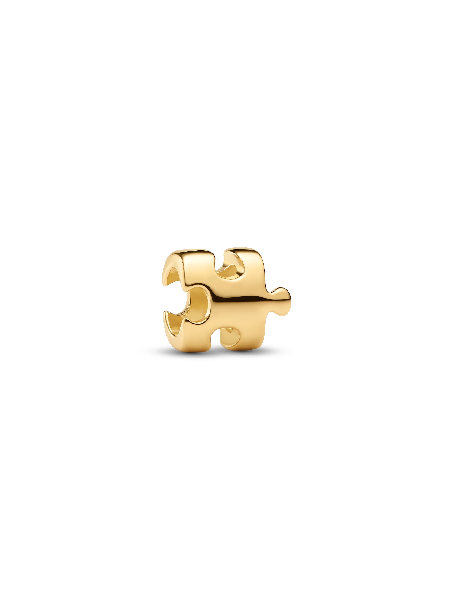 Puzzle Piece Mini Charm