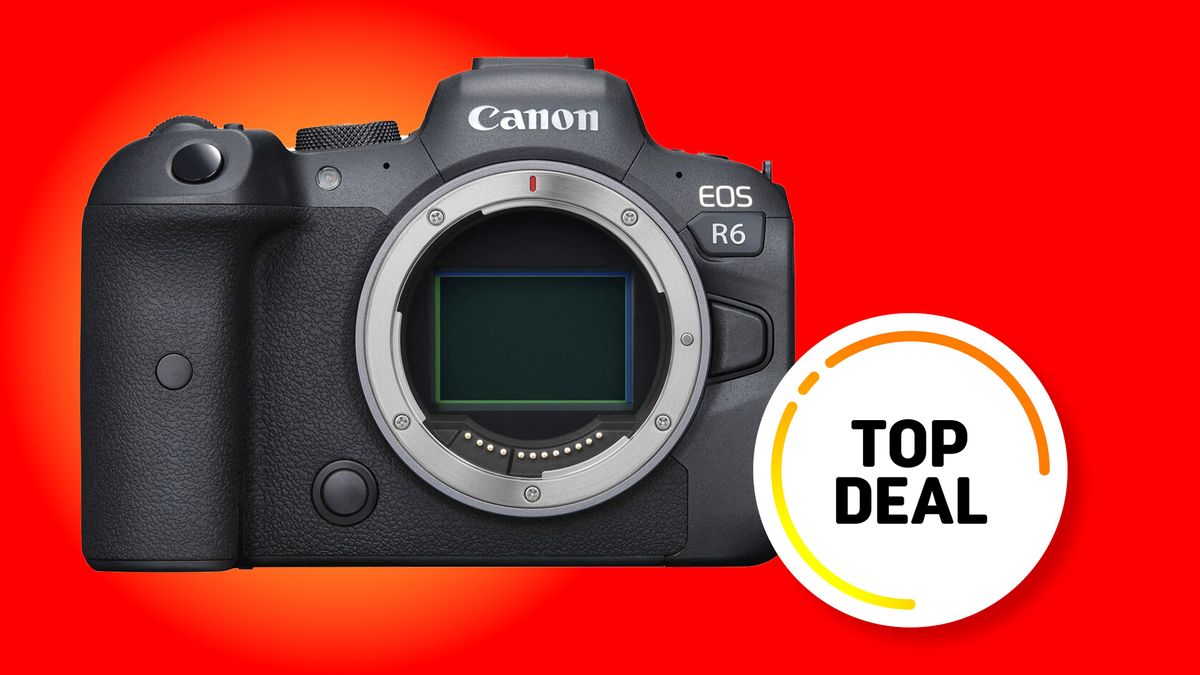 Canon EOS R6 is now at its LOWEST EVER price at Amazon UK | Digital ...