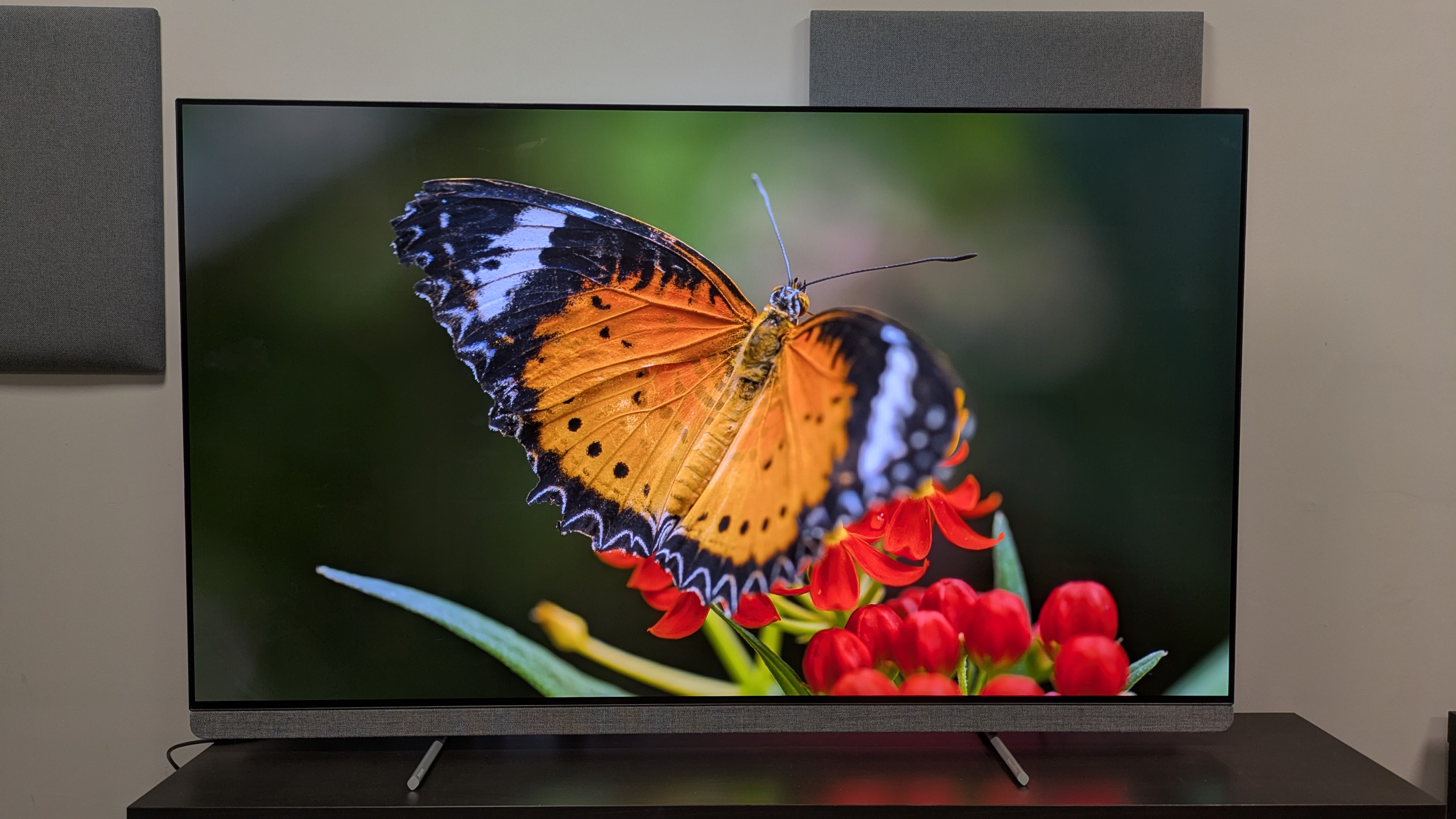 Philips OLED910 with orange butterfly on screen