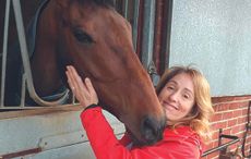 Clare-Salmon_-stables-2_66775082_168740961.jpg
