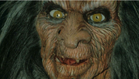   Terrahawks (1983-1986)