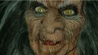   Terrahawks (1983-1986)