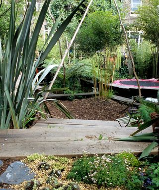 sub tropical planting and wood chips in an urban garden
