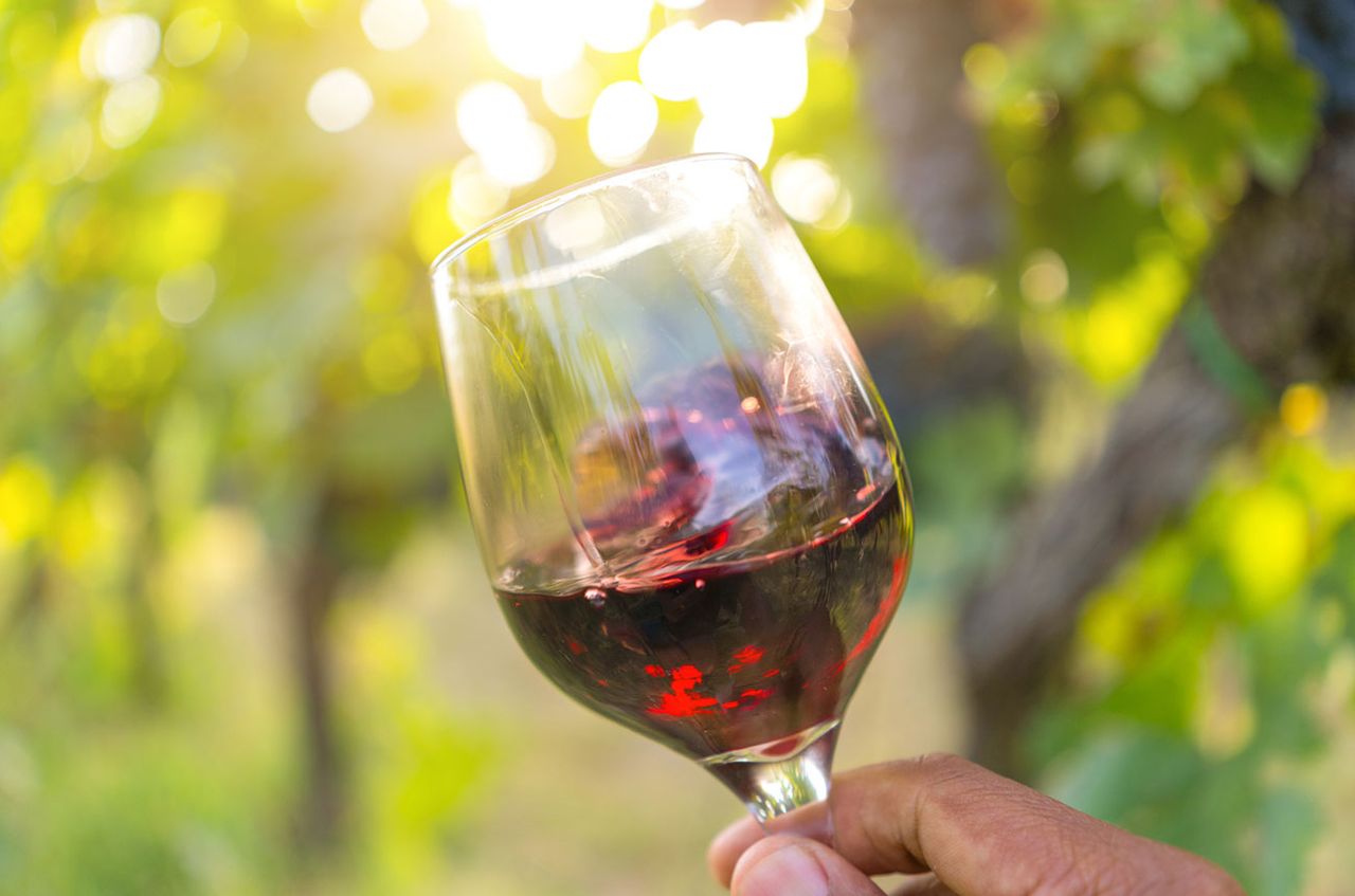 Andrew Jefford: Challenging beliefs on tasting wine and terroir