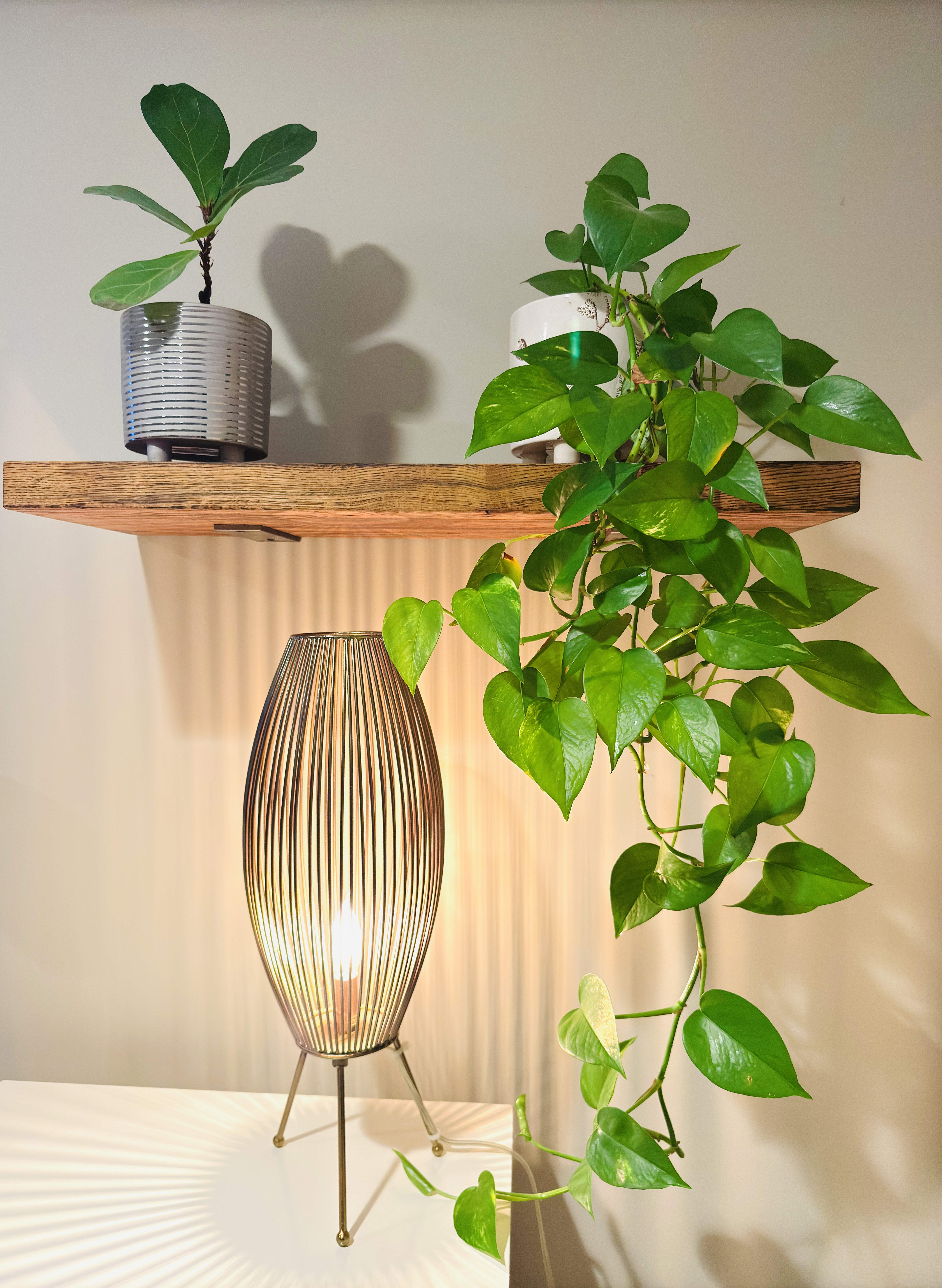 indoor shelves with philodendron and fiddle leaf fig plants, and a lamp