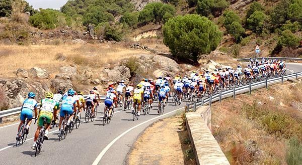 The peloton descends during stage 19