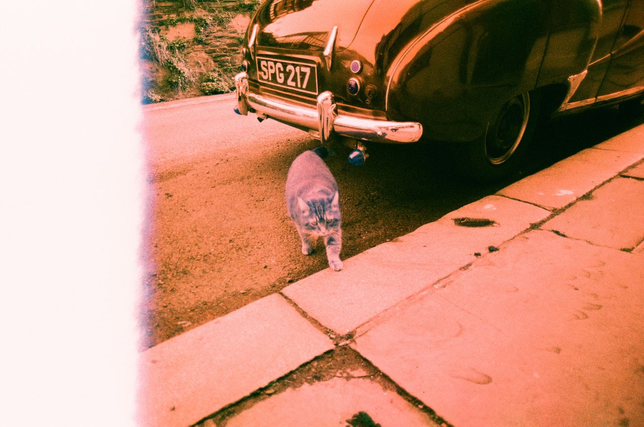 Harman Switch Azure 35mm film sample image