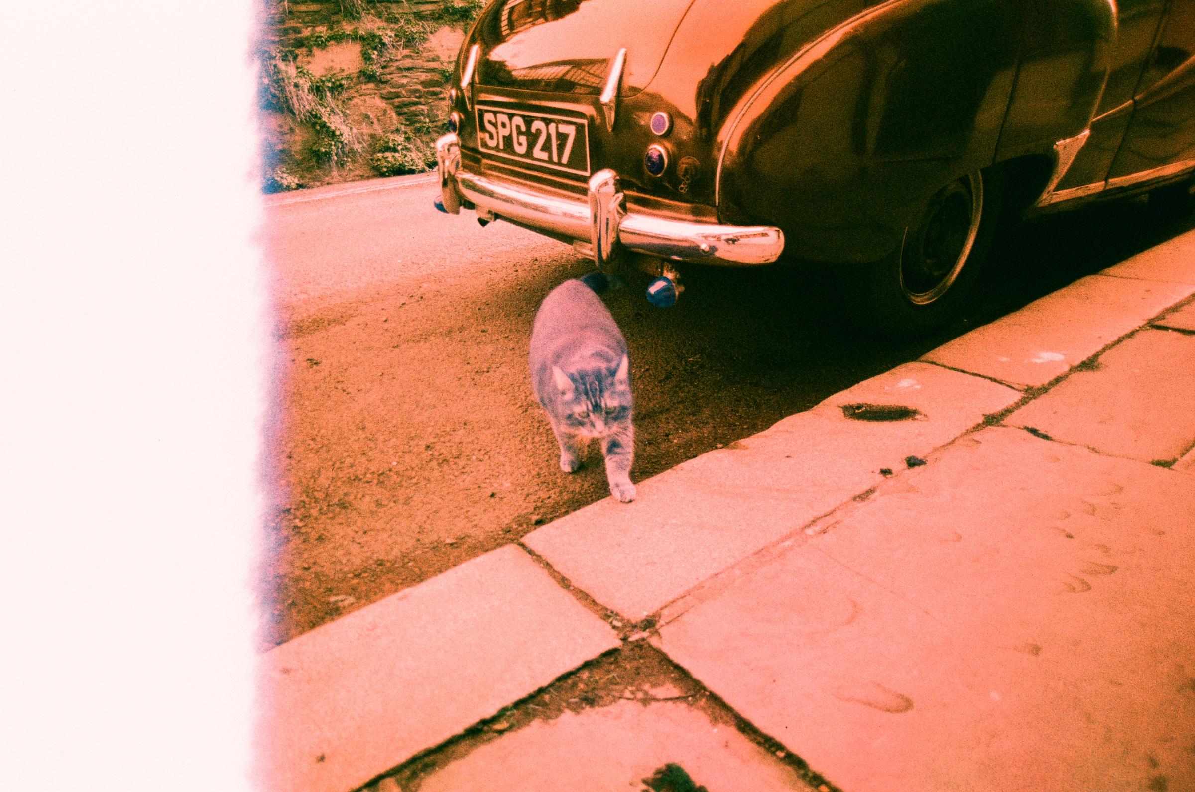 Harman Switch Azure 35mm film sample image