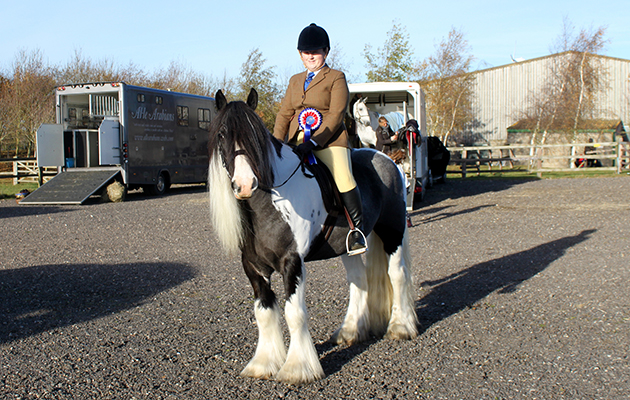 redwings-jacob-rosette