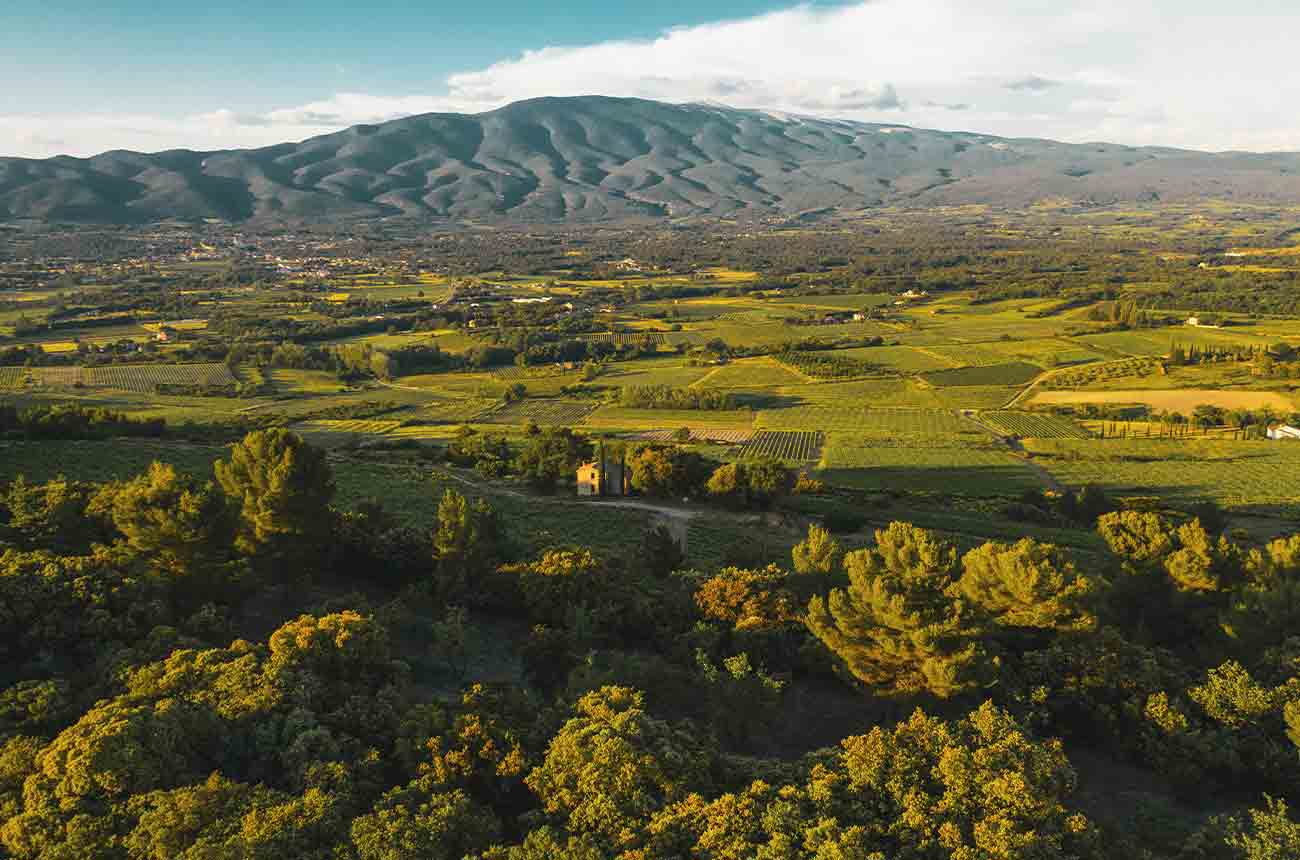 Ventoux AOC in The Southern Rh&ocirc;ne, France
