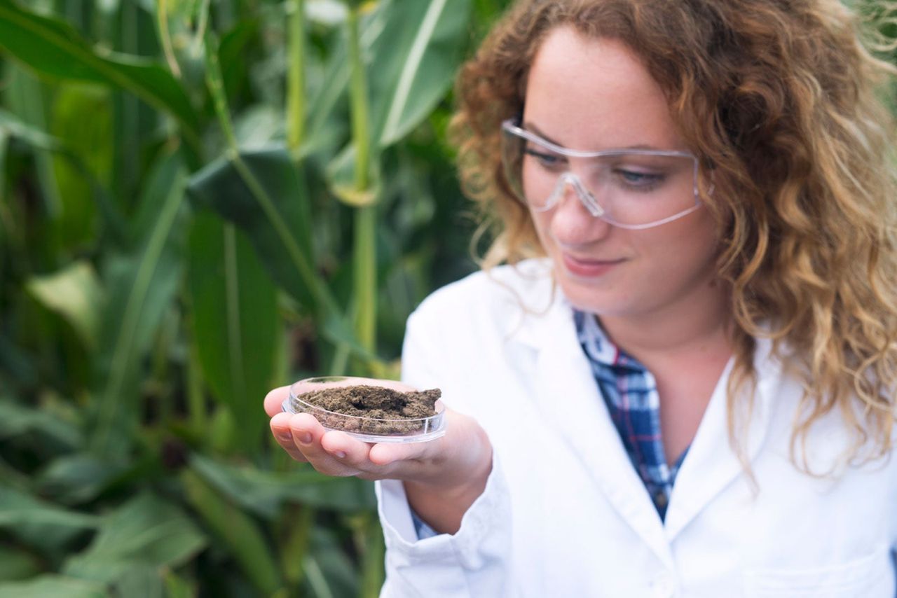 Botanist Holding A Sample Of Soil