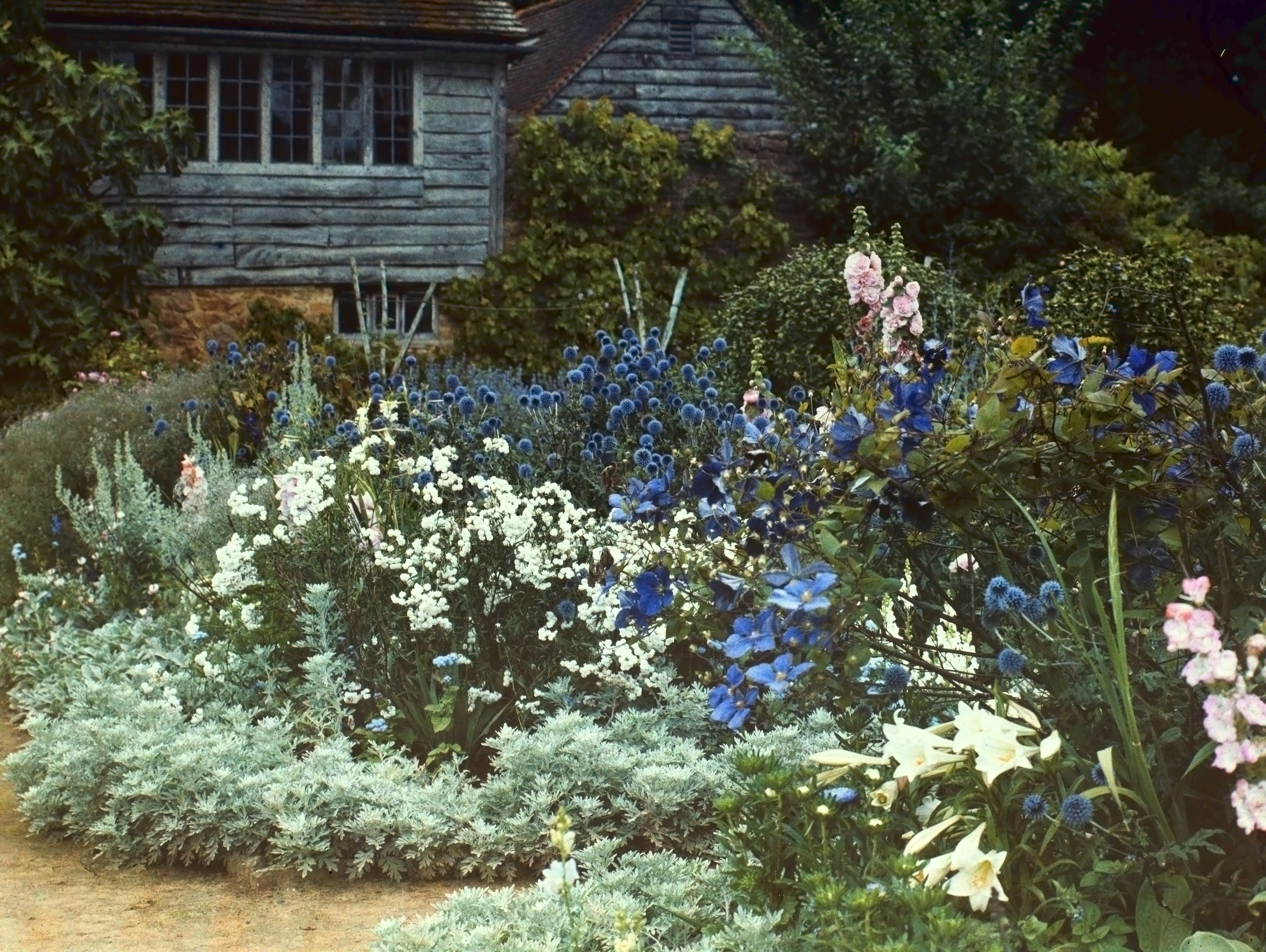Munstead Wood garden