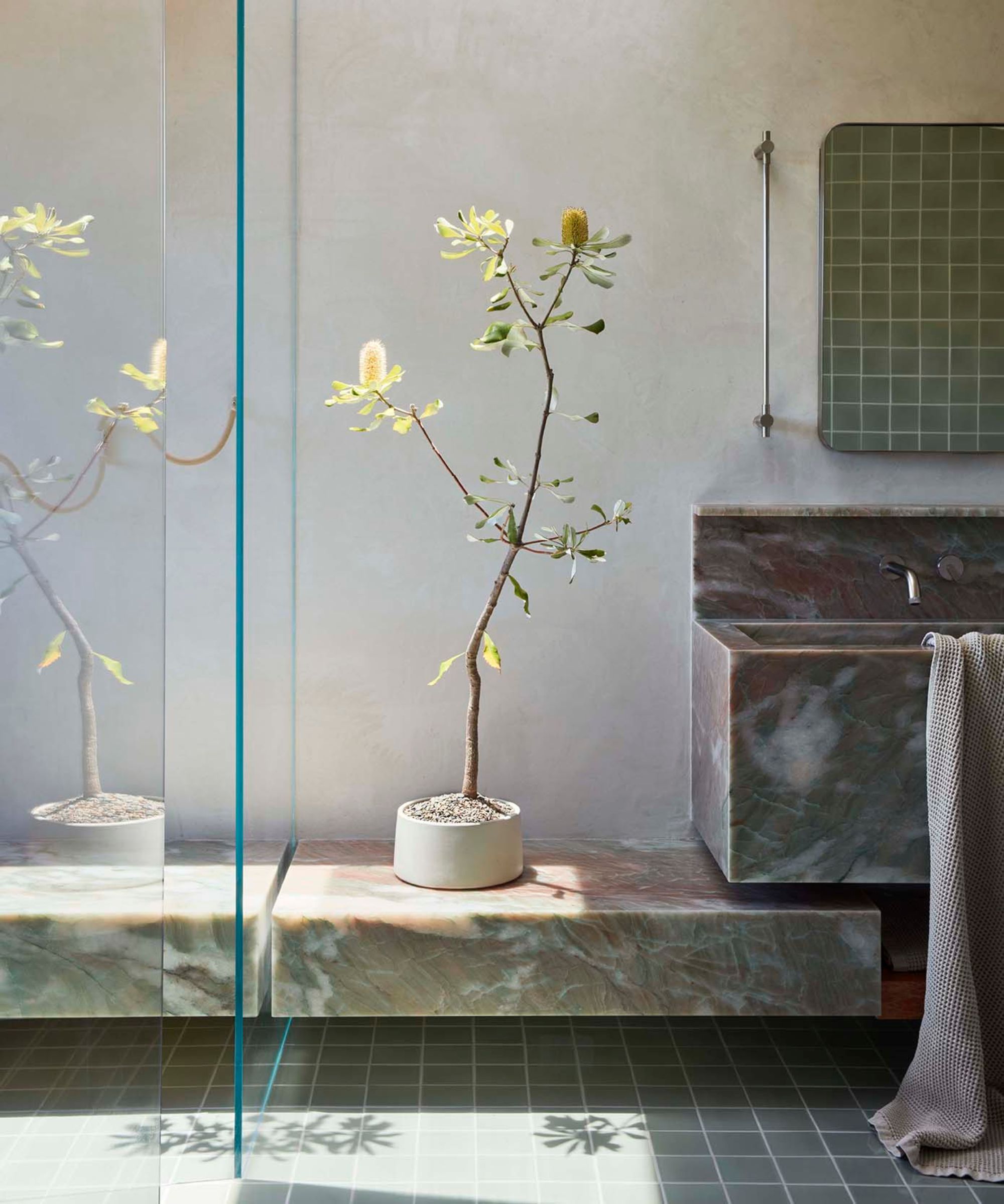 Japandi style bathroom with plant