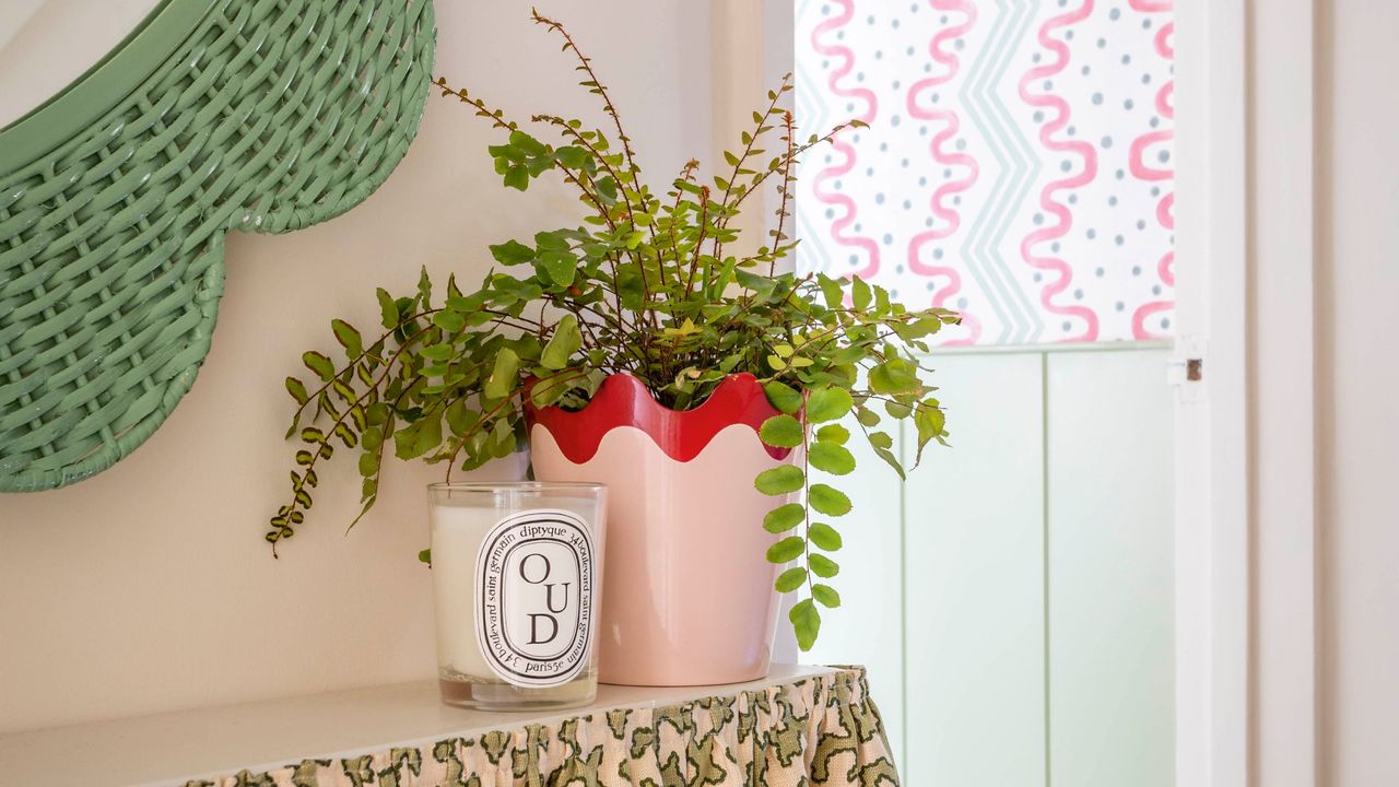 button fern in red and pink pot next to candle on shelf covered by decorative cloth