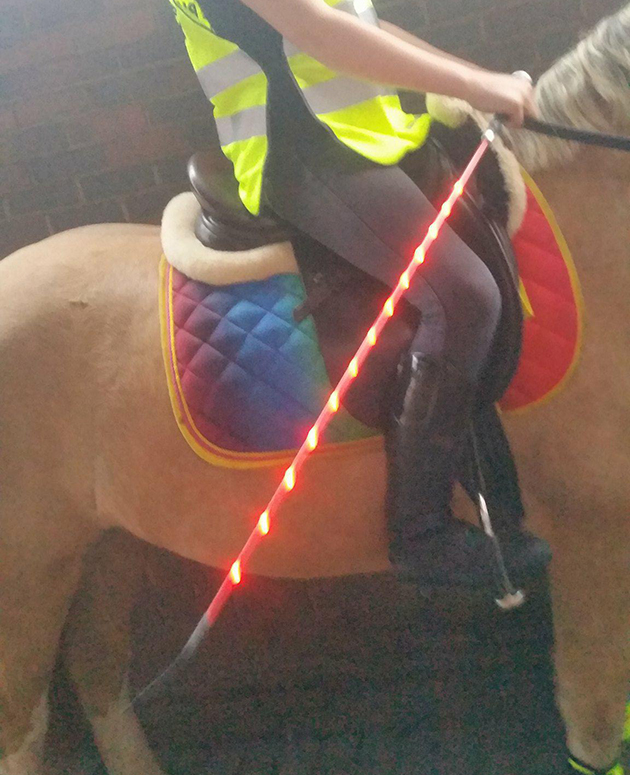 lightupwhip2