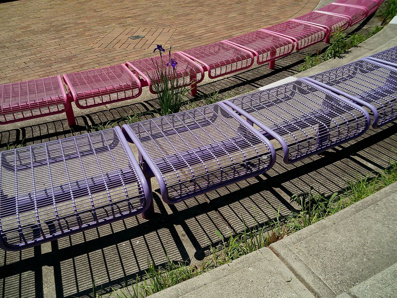 Sample image taken with the Camp Snap 2