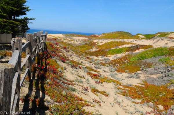 Sand dunes and the Pacific Ocean