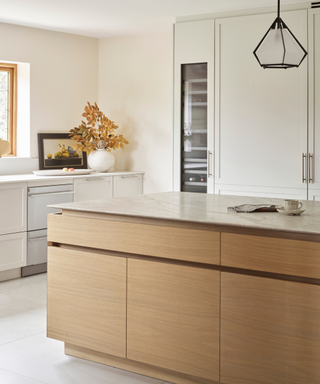 modern minimalist kitchen in neutral colour palette