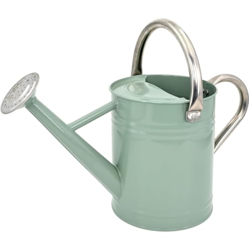Yourjoy Metal Watering Can, One Gallon Watering Cans Stainless Steel for Outdoor Indoor Garden Plants Watering (cream Green)
