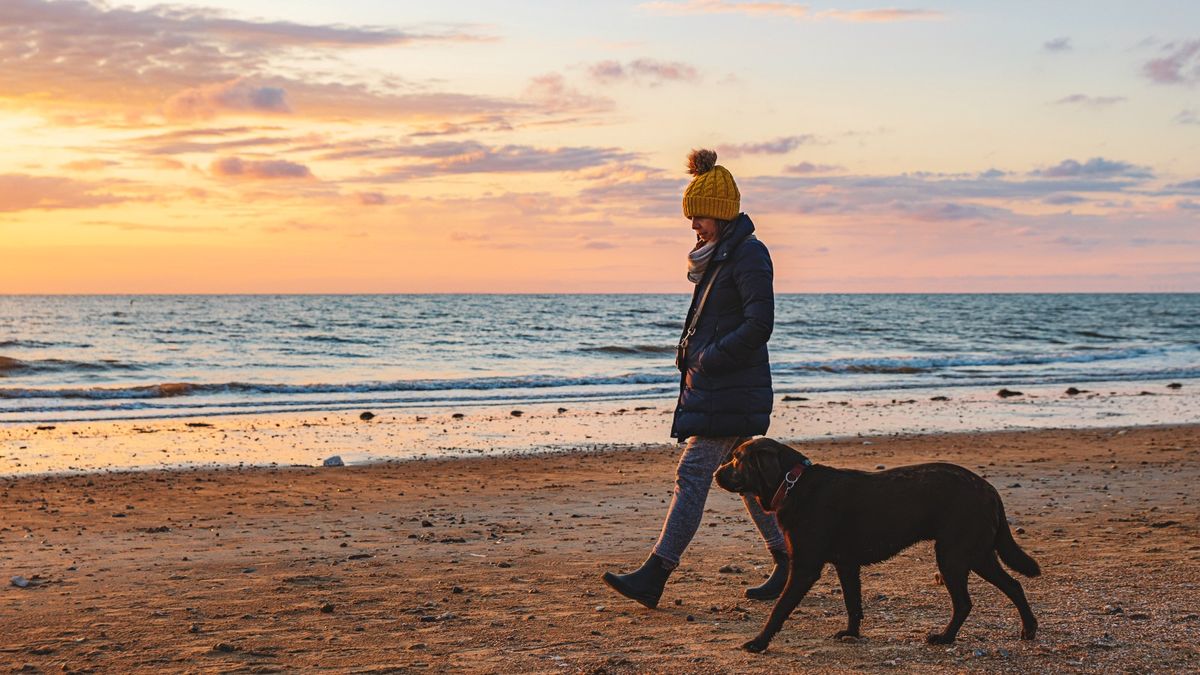 can you walk dogs on hornsea beach